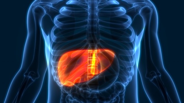 Masna jetra: Kako nastaje i zašto ne smete da je zapustite